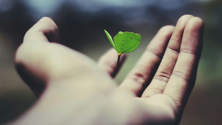 life quotes for women